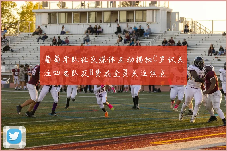 葡萄牙队社交媒体互动揭秘C罗仅关注四名队友B费成全员关注焦点
