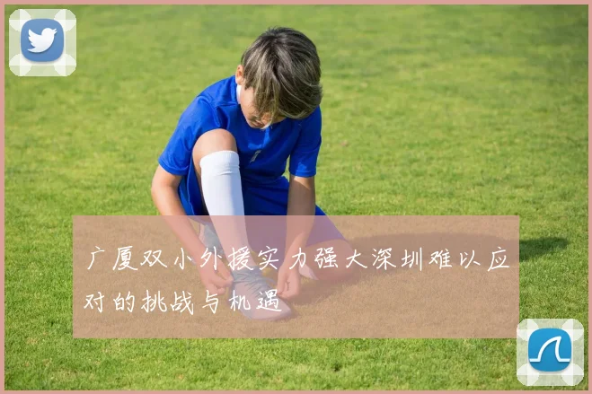 广厦双小外援实力强大深圳难以应对的挑战与机遇